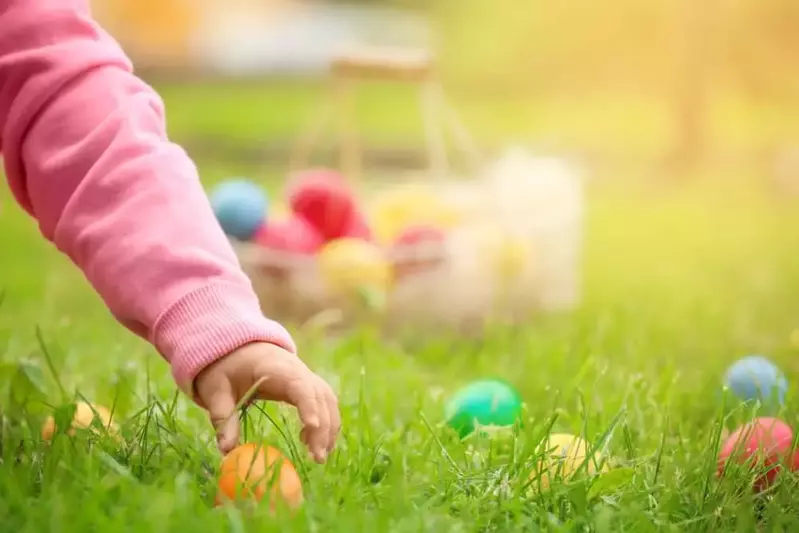 egg hunt
